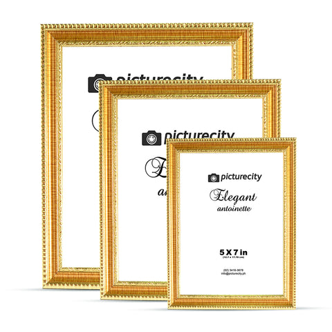 Elegant | Antoinette